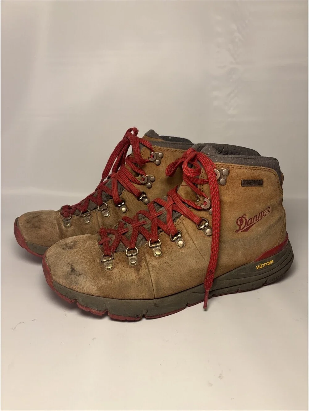 Danner Men’s Mountain 600 4.5
